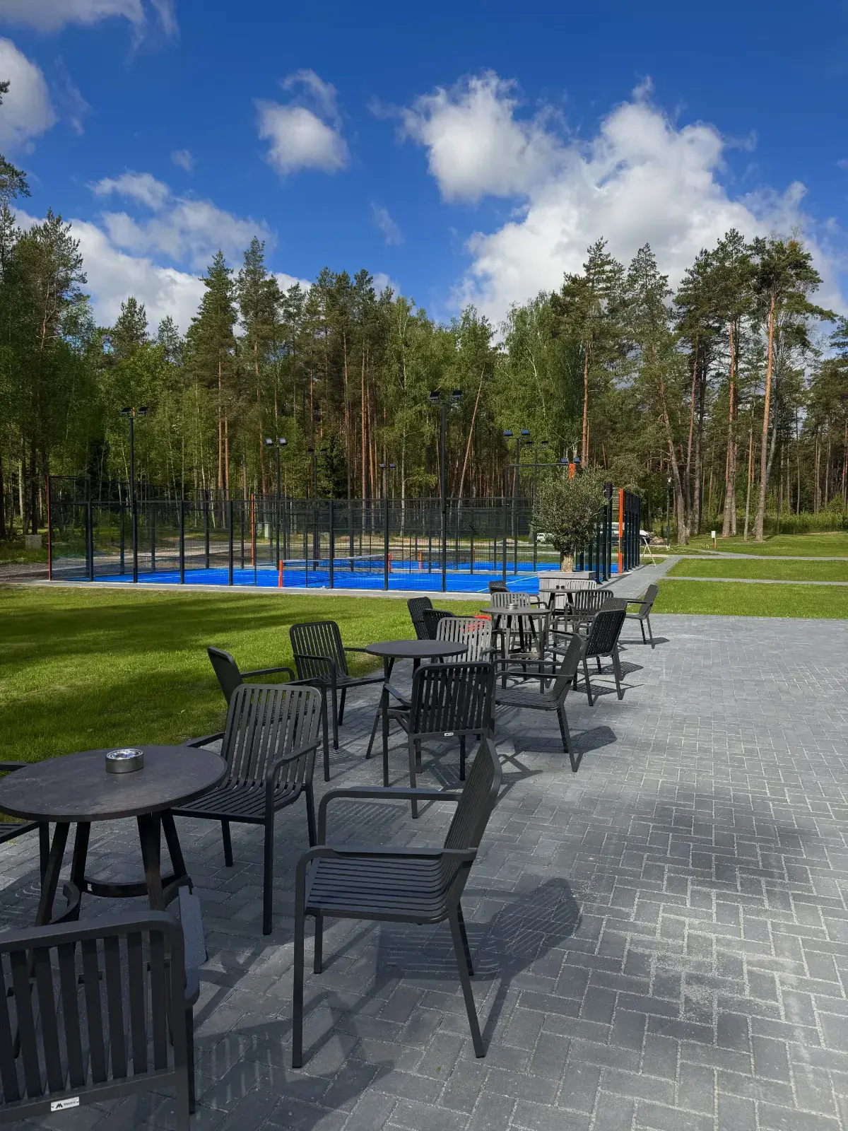 Petankės aikštelė tarp pušų