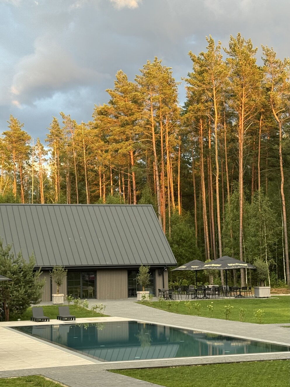 Sodybos pastatas tarp pušų saulėtekyje