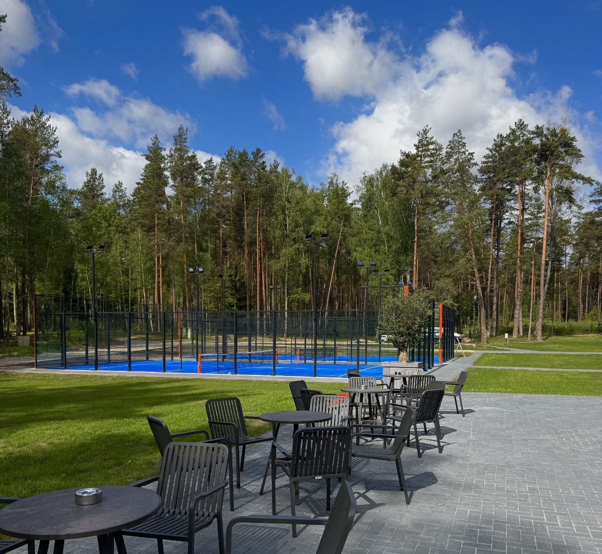 Petankės aikštelė tarp pušų